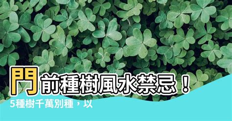 門前樹風水|門前栽什麼樹對風水好？門前栽樹注意事項大全